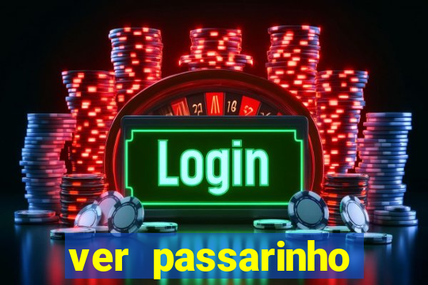 ver passarinho morto significado